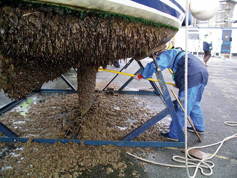 What is Subsea Pile Cleaning - Antifouling